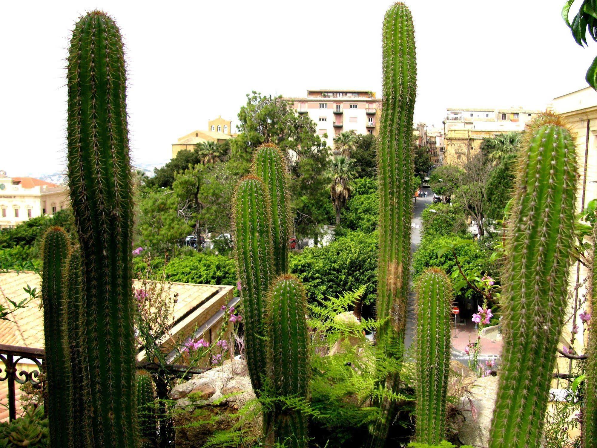 Bed & Breakfast Le Palme Agrigento Exteriér fotografie